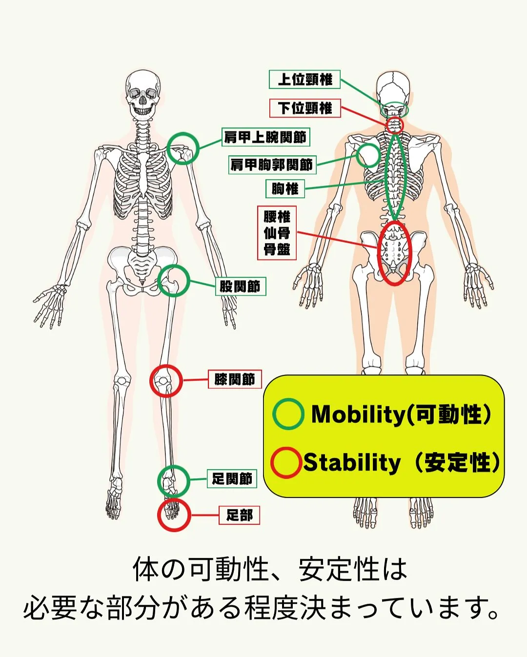 「腰が痛いのに、腰を治療してもよくならない…」